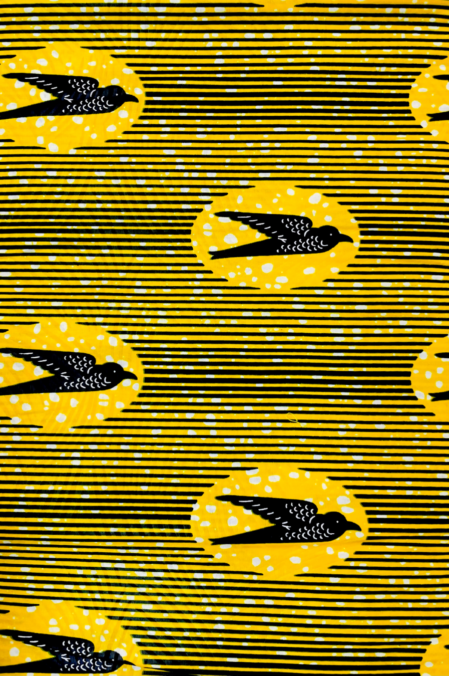 Tissu Ankara avec des oiseaux